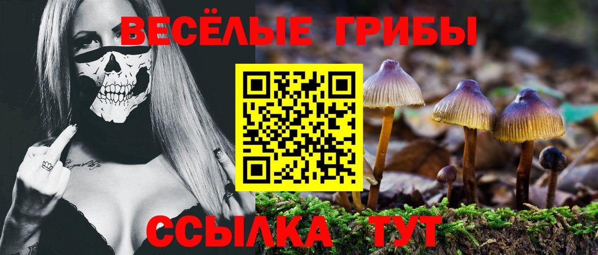 Псилоцибиновые грибы ЛСД Невинномысск