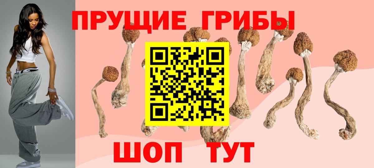 Псилоцибиновые грибы Psilocybe  Псилоцибиновые грибы мухоморы  Вход с VPN  Невинномысск 